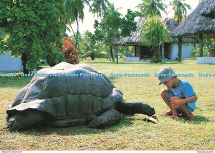 D224928 Seychelles Bird Island Lodge Printec