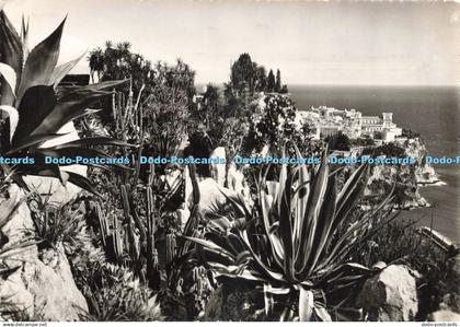 D225687 Jardin Exotique de Monaco L Allee Superieure Agave Americana RP