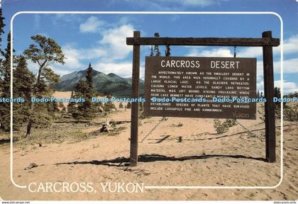 D229104 Yukon Carcross Desert Studio North
