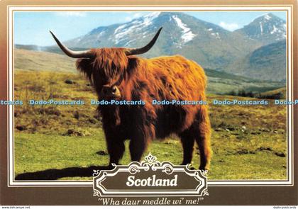 D241639 Scotland Wha Dour Meddle Wi Me Colourmaster Limited