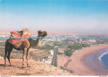 D242717 Agadir Panoramic View of the Agadir Bay Casa Images Ryger