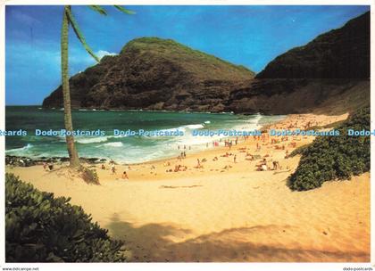 D242802 Mokapu Beach Windward Oahu Movie Supply of Hawaii 1981