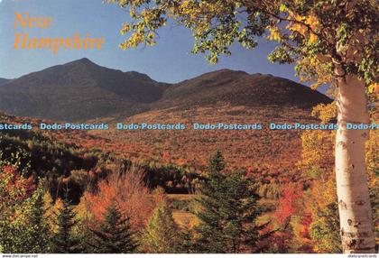 D246042 New Hampshire Mt Adams From Pinkham Notch White Mountains Northeast Nove