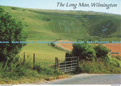 D253321 Wilmington The Long Man J Salmon