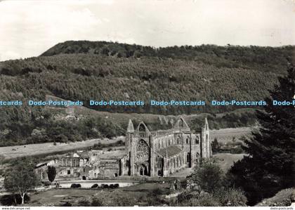 D265086 Monmouthshire TinternAbbey General View from S W Crown 1973