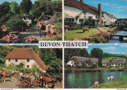 D276310 Devon Thatch Cockington Forge near Torquay Typical Devon Thatched Cottag