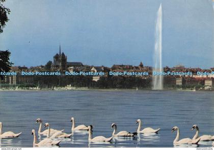 D277272 Geneve Vue de la Ville Depuis le Quai de Cologny Jaeger Iris