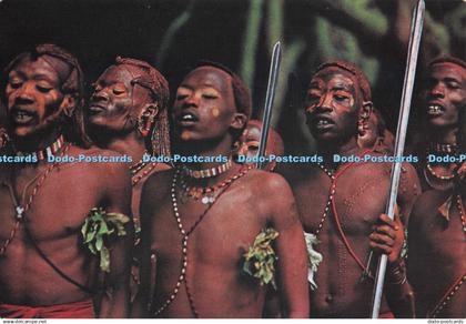 D279969 Kenya Masai Warriors Kenya Stationers Dino Sassi