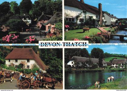 D280887 Devon Thatch Cockington Forge near Torquay Typical Devon Thatched Cottag
