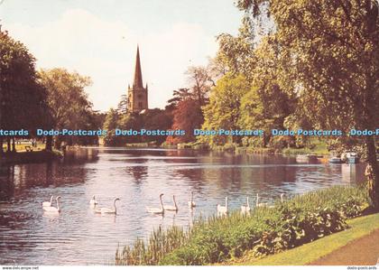 D289740 Stratford Upon Avon. Swans on The Avon. Walter Scott. Bradford