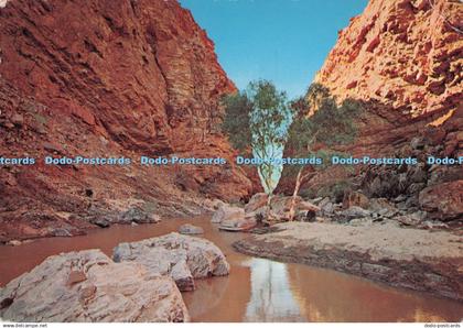 D290979 Central Australia. Simpson Gap. Alice Springs. John Engelander
