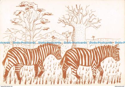 D293896 Zebras in Chobe National Park. Botswana. P. K. Mbenge