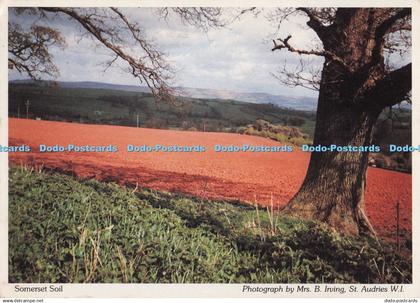 D298460 Somerset Soil. Somerset Federation of Women Institutes. Judges Postcards