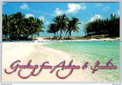 D303702 West Indies Greetings from Antigua and Barbuda Bob Reardon Cactus Cards