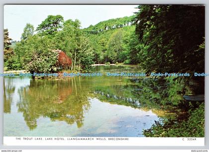 D304179 Breconshire Llangammarch Wells The Trout Lake Lake Hotel Judges Hastings
