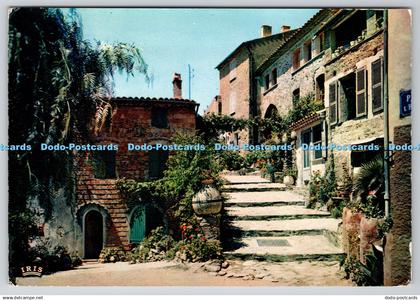 D320562 Bormes Les Mimosas. A Picturesque Lane. Mar. 1960
