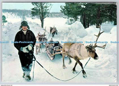 D324849 Norway. Vedkjoring med rein. Giovanni Trimboli. Grako Kortforlag AS. Osl