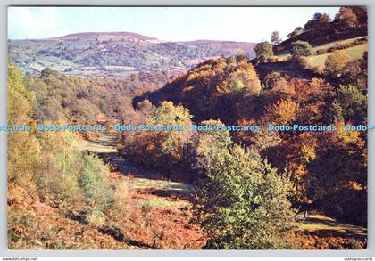 D330718 Breconshire. Llangenny Near Crickhowell. J. Arthur Dixon. Newport. I. W.