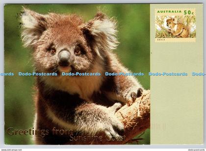 D333707 Greetings From Sunshine Coast. Australian Wildlife. G. and R. Wilson. A.