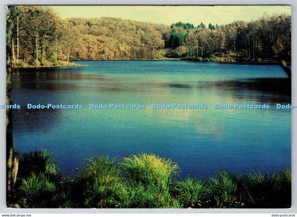 D334493 Melisey. L Etang du Grand Rosbeck. Mathon. 1992