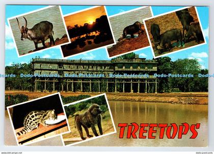 D336241 Treetops. Kenya. Kenya Stationers. Dino Sassi. Multi View