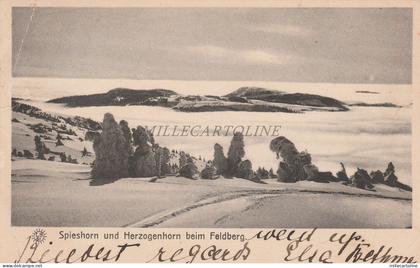 GERMANY - Feldberg - Spieshorn und Herzogenhorn beim Feldberg 1908