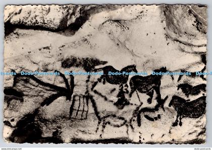 L341614 Grotte Prehistorique Montignac Sur Vezere Dordogne Windels