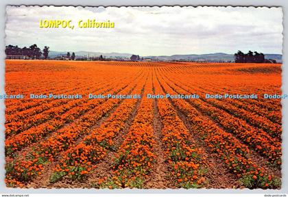 L344334 Lompoc California Woody Gillette Plastichrome by Colourpicture
