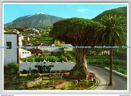 L345193 Icod of the Wines John Hinde Padane Perez Zamora