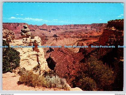 L351626 Arizona. Grand Canyon National Park. Duck on the Rock. Grand Canyon Nati