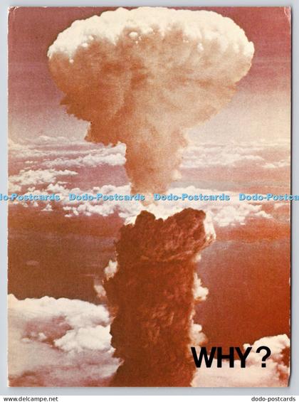 L361875 Why Hiroshima Pictor International Athena International