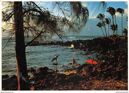 lot381 USA surfing  hawaii maui