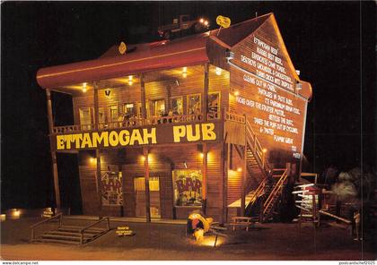 lot398 Ettamogan pub old sunshine coast