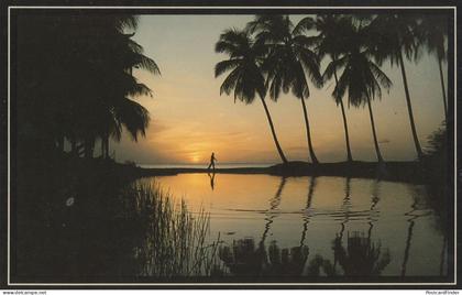 Pinneys Beach Nevis St Kitts Sunset Carribean West Indies Postcard