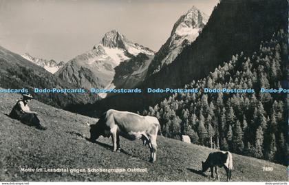 R027873 Motiv im Lesachtal gegen Schobergruppe Osttirol Chizzali RP