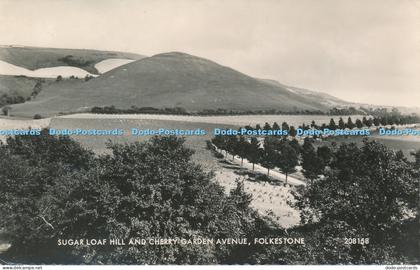 R058865 Sugar Loaf Hill and Cherry Garden Avenue Folkestone Valentine no 208158