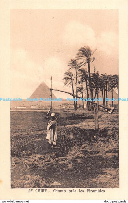 R179134 Le Caire. Champ pres les Piramides