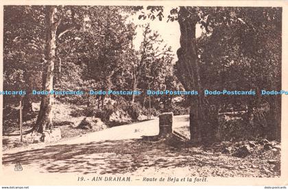 R346054 Ain Draham Route de Beja et la foret Photo Africaines