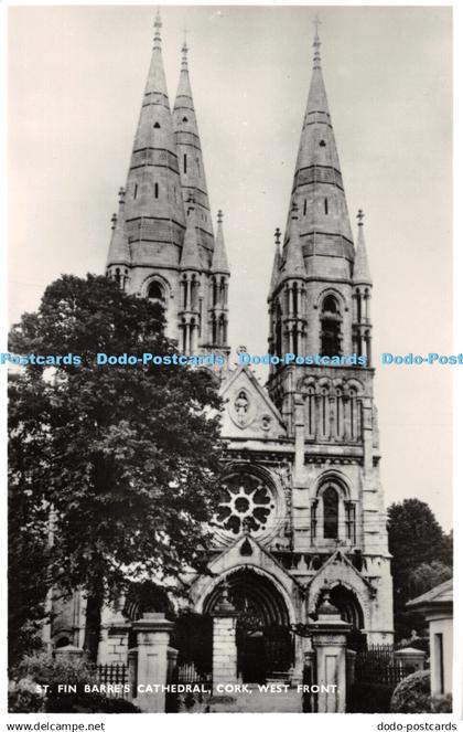 R452353 St Finn Barre Cathedral Cork West Front