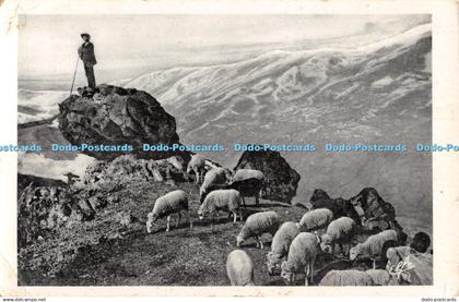 R513989 Tableaux Pyrenees Lion du Monde Labouche Freres