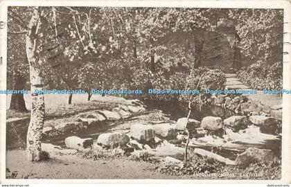 R598394 Sheffield Endcliffe Woods