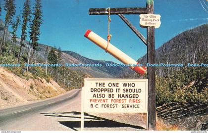 R683922 Spectacular Forest Fire Area Along Hope Princeton Highway. Pacific Colou