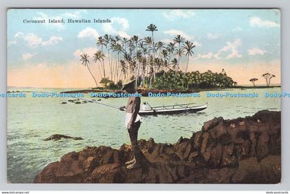 R809883 Hawaiian Islands. Coconut Island. The Island Curio