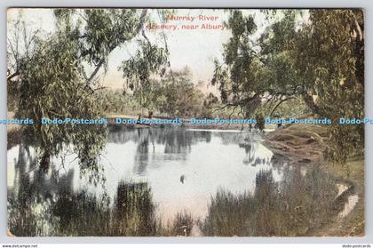 R819738 Murray River Scenery Near Albury 1907