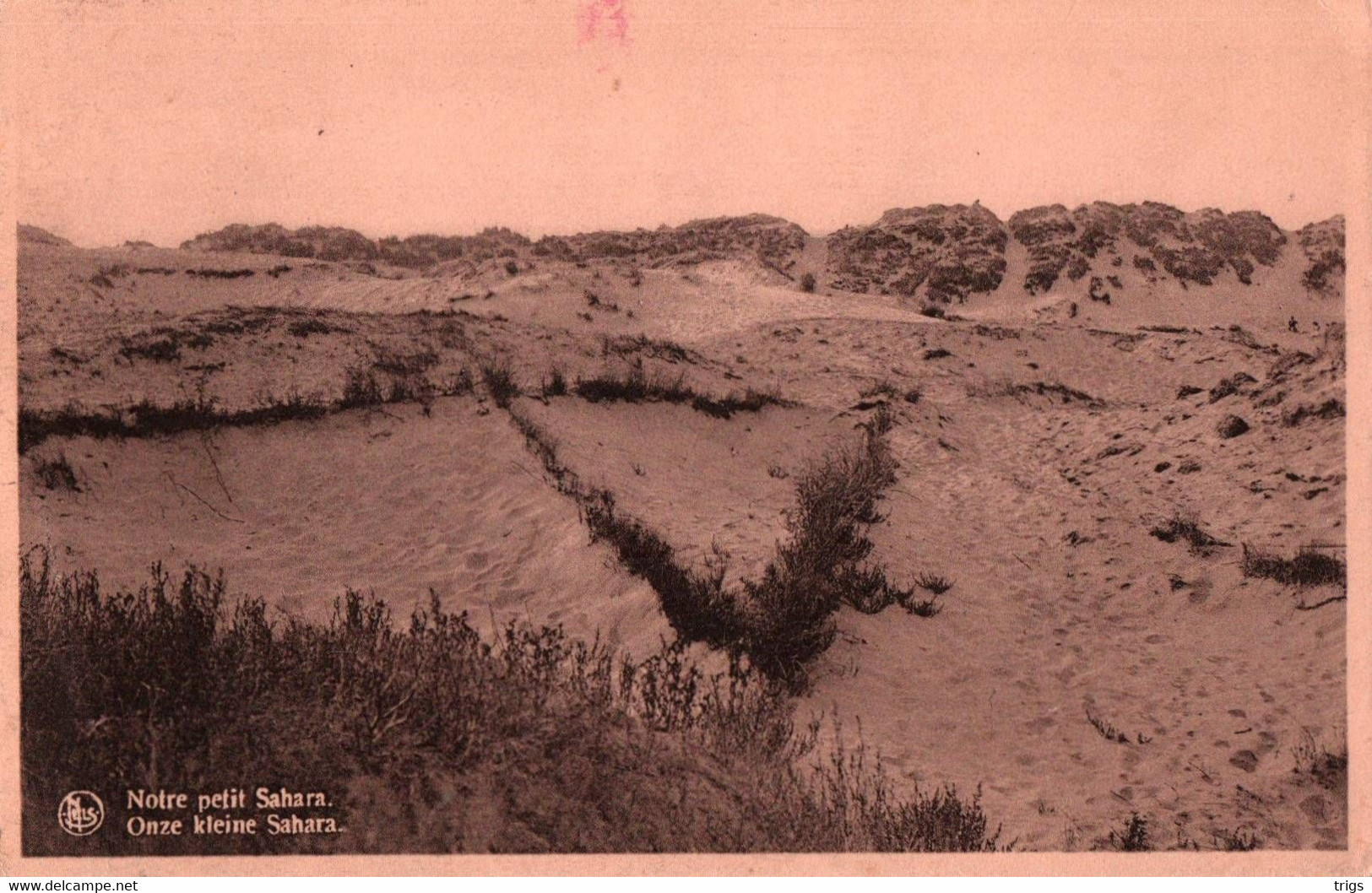 Wenduine - Onze kleine Sahara