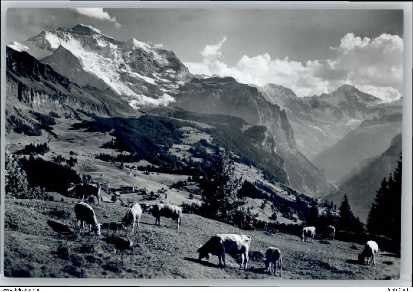 Wengen BE Wengen