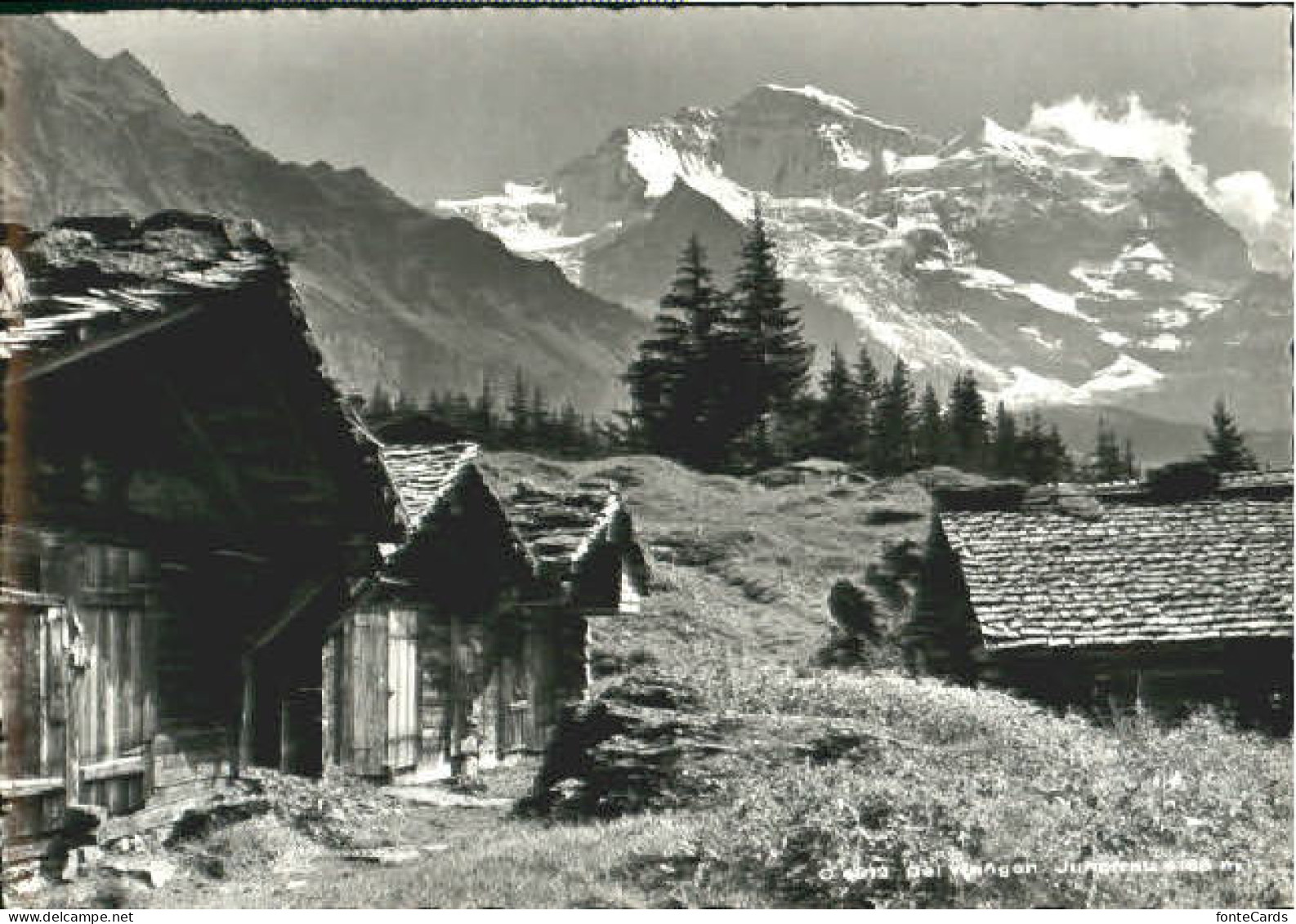 Wengen  BE Wengen