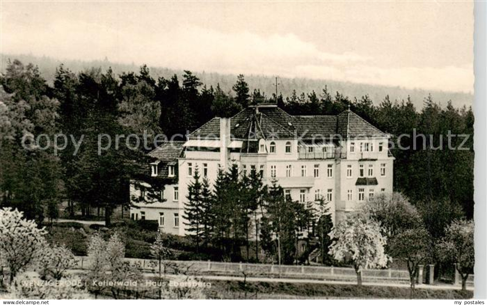 Wenzigerode Bad Zwesten Hotel Haus Ebersberg im Kellerwald