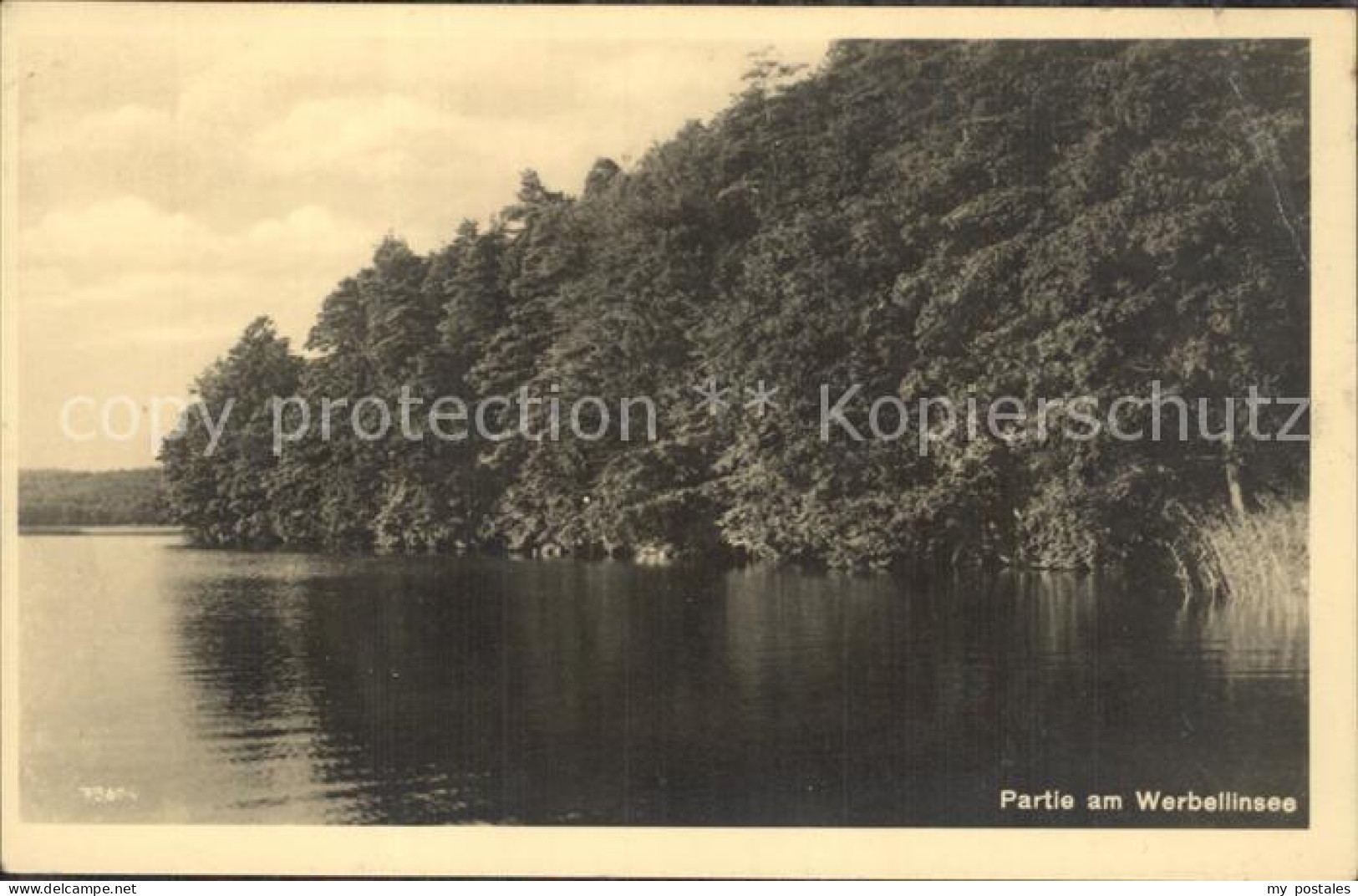 Werbellinsee-Altenhof Seepartie