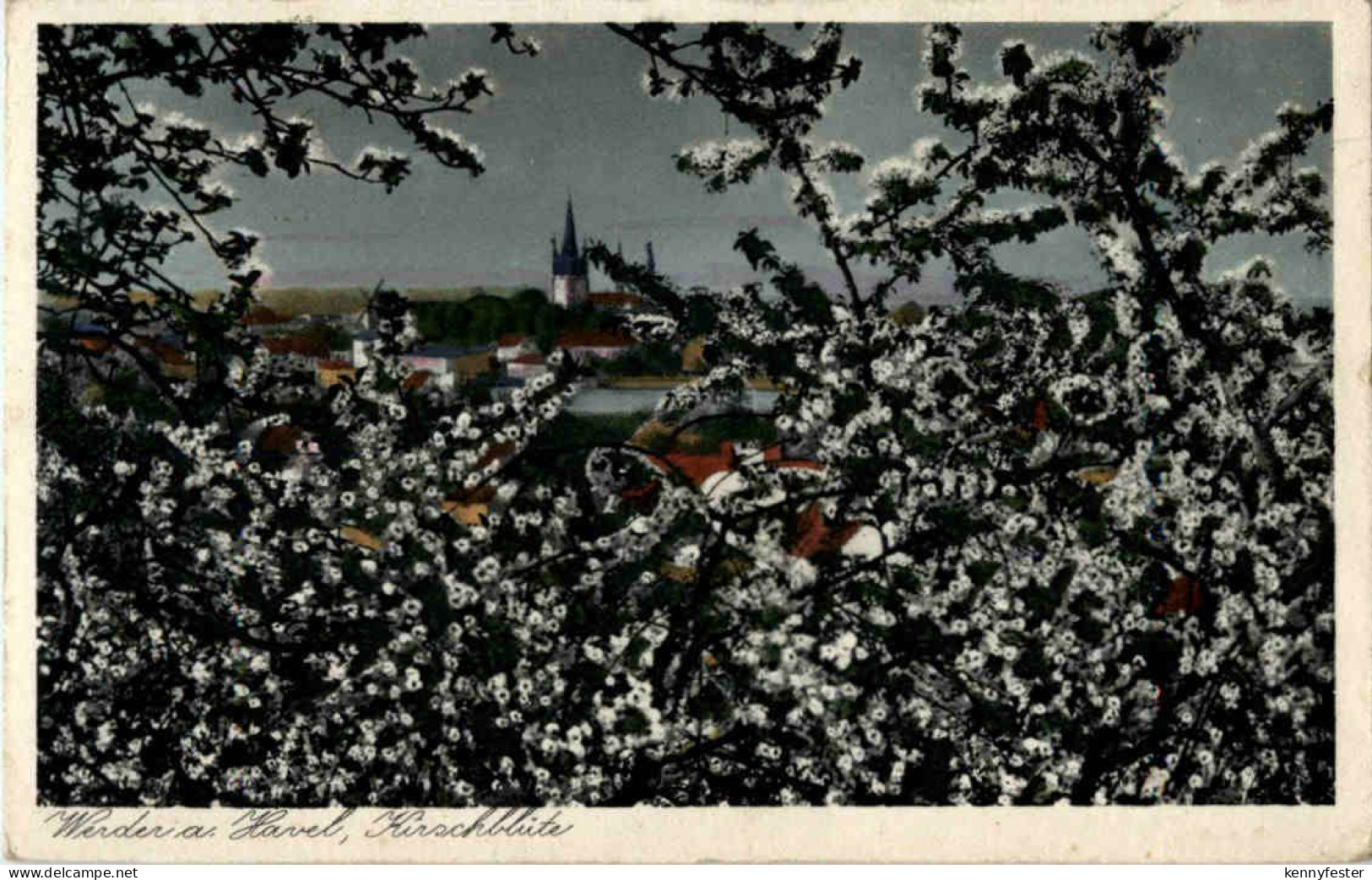 Werder an der Havel - Kirschblüte